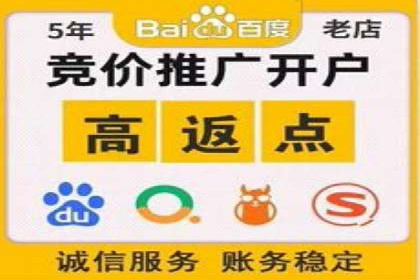 百度推广竞价全解析：某电商平台的营销策略